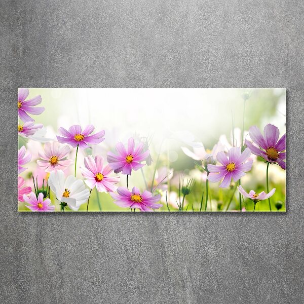 Quadro in vetro acrilico Fiori nel prato