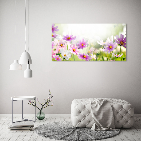 Quadro in vetro acrilico Fiori nel prato