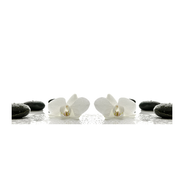 Quadro vetro acrilico Orchidea