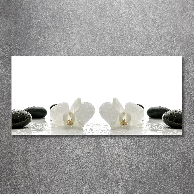 Quadro vetro acrilico Orchidea