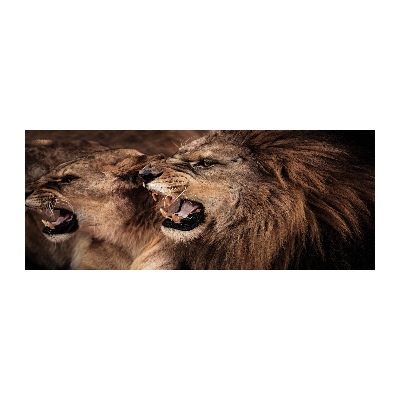 Quadro su vetro acrilico Leoni ruggenti