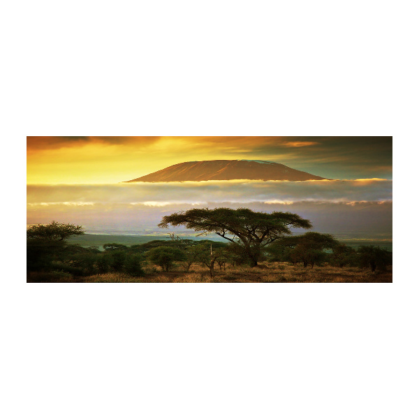 Quadro su vetro acrilico Kilimanjaro Kenya