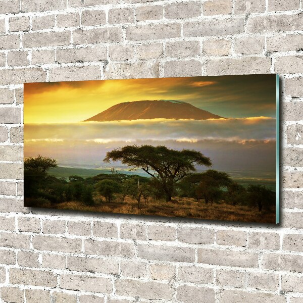 Quadro su vetro acrilico Kilimanjaro Kenya