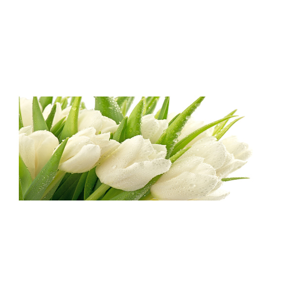 Quadro su vetro acrilico Tulipani bianchi