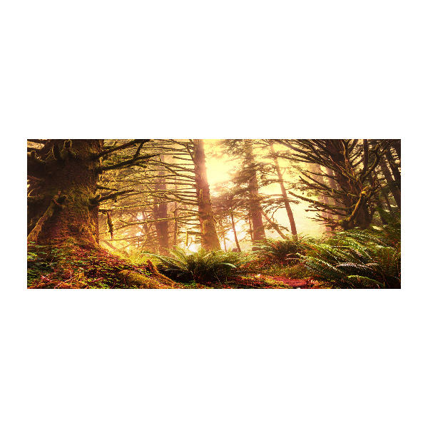 Quadro in vetro acrilico Foresta pluviale