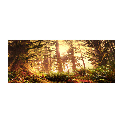 Quadro in vetro acrilico Foresta pluviale