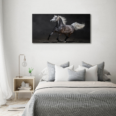 Quadro in vetro acrilico Cavallo arabo grigio