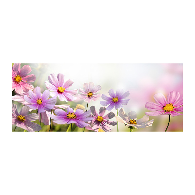 Quadro in vetro acrilico Fiori nel prato