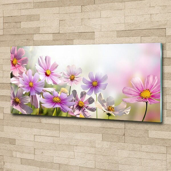 Quadro in vetro acrilico Fiori nel prato