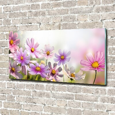 Quadro in vetro acrilico Fiori nel prato