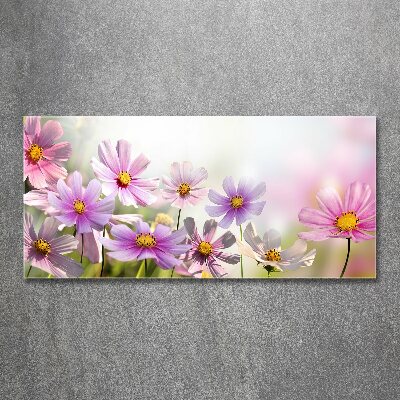 Quadro in vetro acrilico Fiori nel prato