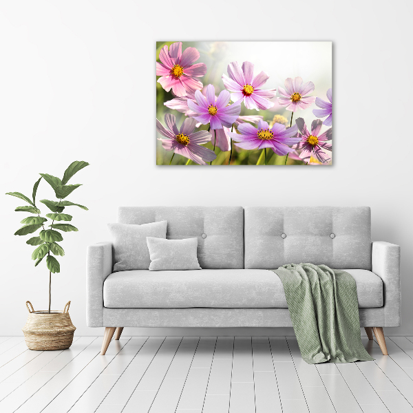 Quadro in vetro acrilico Fiori nel prato