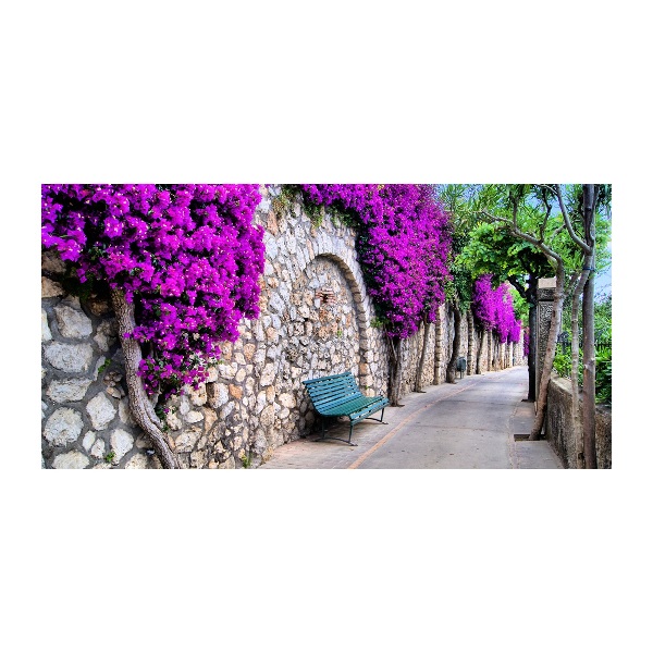 Quadro su vetro acrilico Strade incantevoli