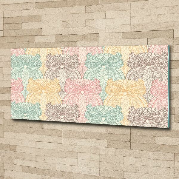 Quadro su vetro acrilico Gufi