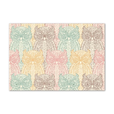 Quadro su vetro acrilico Gufi