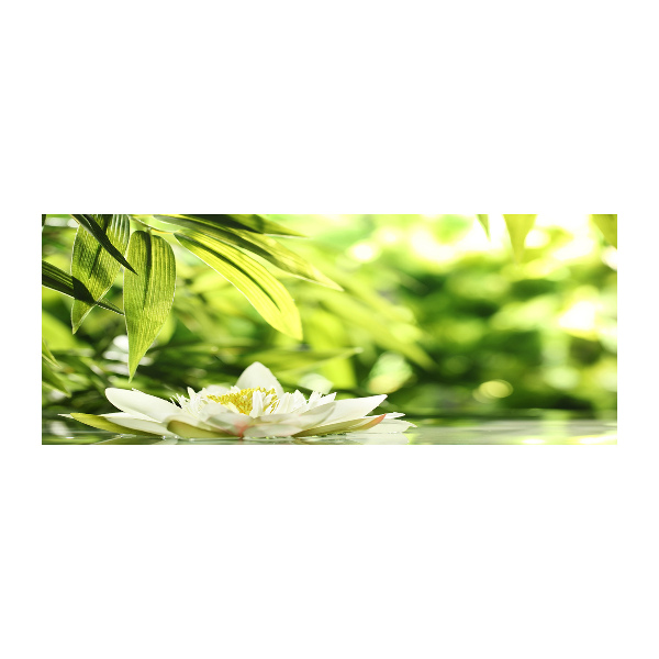 Quadro in vetro acrilico Ninfea