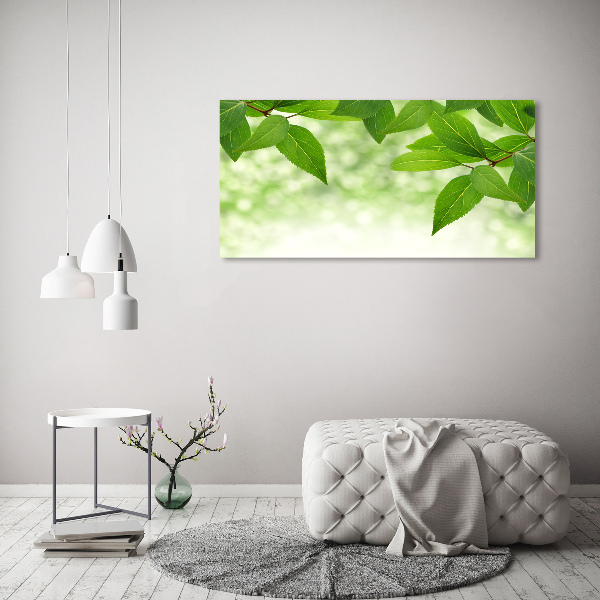 Quadro vetro acrilico Foglie verdi