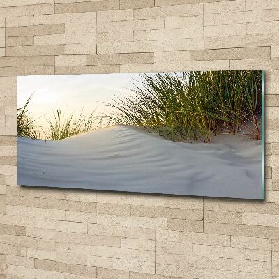 Quadro su vetro acrilico Dune costiere