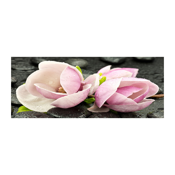 Quadro in vetro acrilico Pietra zen di magnolia