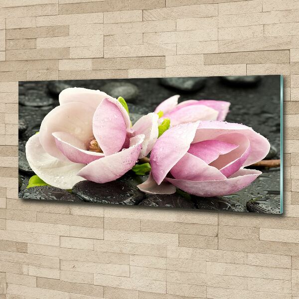Quadro in vetro acrilico Pietra zen di magnolia