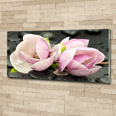 Quadro in vetro acrilico Pietra zen di magnolia