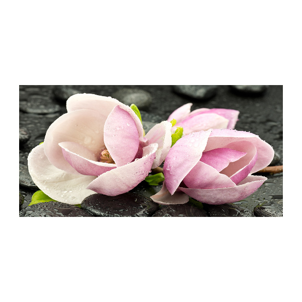 Quadro in vetro acrilico Pietra zen di magnolia