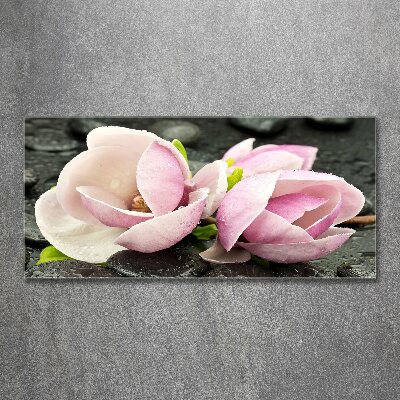 Quadro in vetro acrilico Pietra zen di magnolia