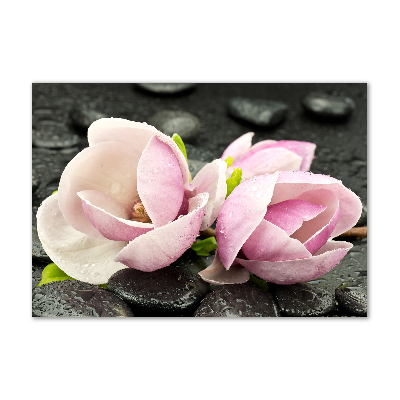 Quadro in vetro acrilico Pietra zen di magnolia