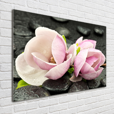 Quadro in vetro acrilico Pietra zen di magnolia