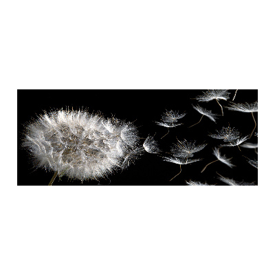 Quadro vetro acrilico Dente di leone