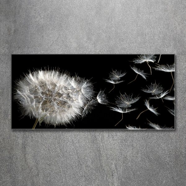 Quadro vetro acrilico Dente di leone