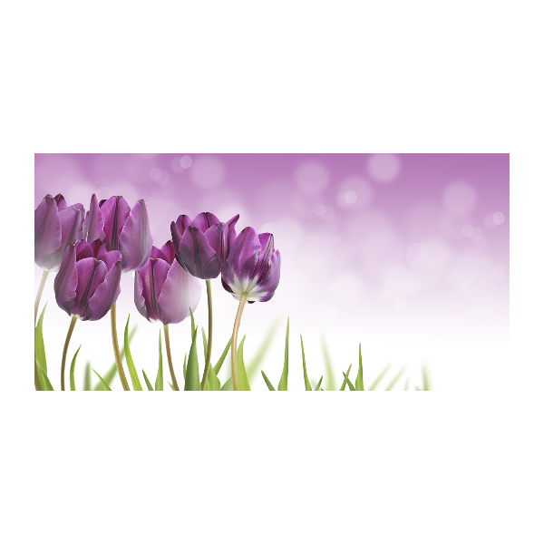 Quadro su vetro acrilico Tulipani viola