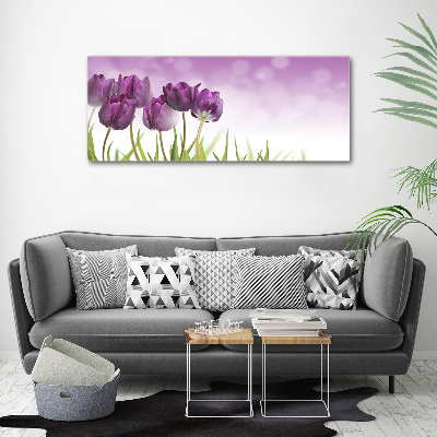 Quadro su vetro acrilico Tulipani viola