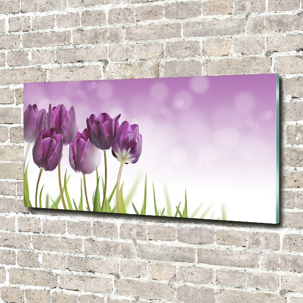 Quadro su vetro acrilico Tulipani viola
