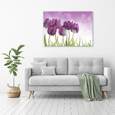 Quadro su vetro acrilico Tulipani viola