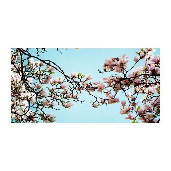 Quadro in vetro acrilico Fiori di magnolia