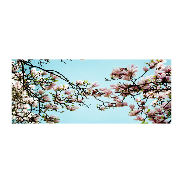 Quadro in vetro acrilico Fiori di magnolia