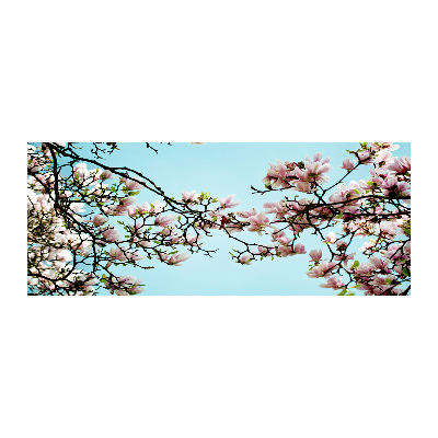 Quadro in vetro acrilico Fiori di magnolia