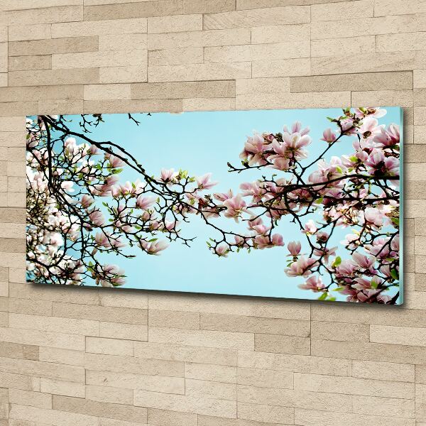 Quadro in vetro acrilico Fiori di magnolia