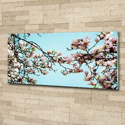 Quadro in vetro acrilico Fiori di magnolia