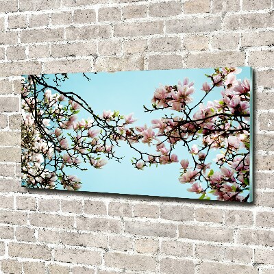 Quadro in vetro acrilico Fiori di magnolia
