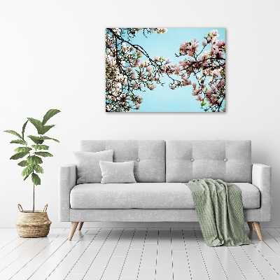 Quadro in vetro acrilico Fiori di magnolia