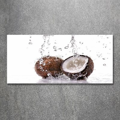 Quadro su vetro acrilico Cocco e acqua