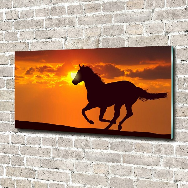 Quadro vetro acrilico Tramonto a cavallo