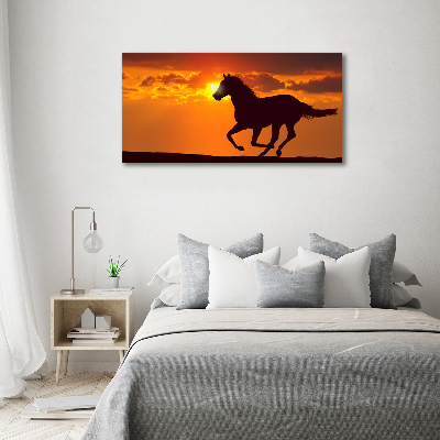 Quadro vetro acrilico Tramonto a cavallo