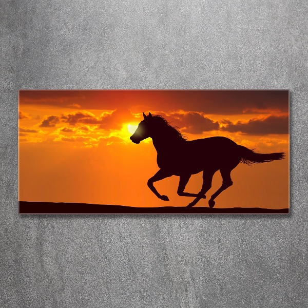 Quadro vetro acrilico Tramonto a cavallo