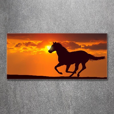 Quadro vetro acrilico Tramonto a cavallo