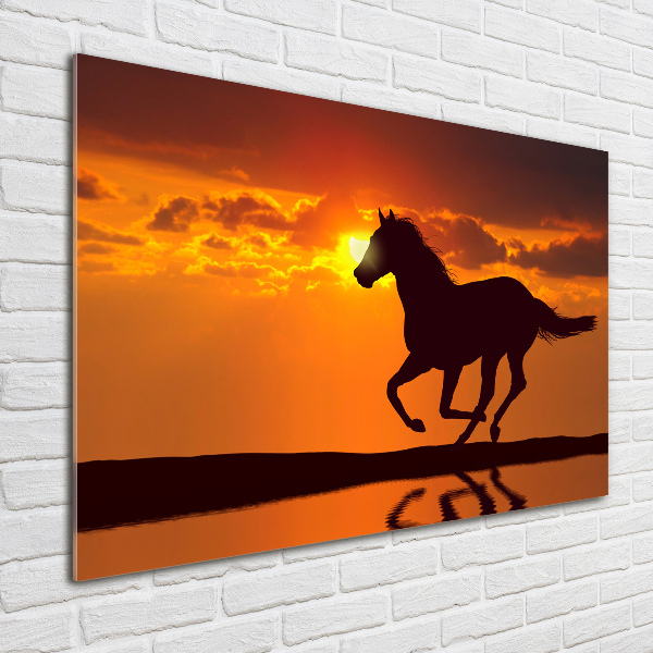 Quadro vetro acrilico Tramonto a cavallo