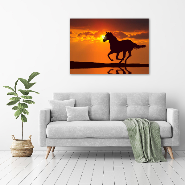 Quadro vetro acrilico Tramonto a cavallo