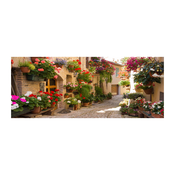 Quadro vetro acrilico Una strada affascinante